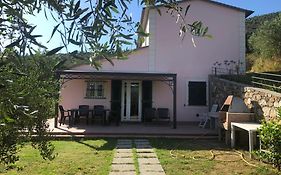 Villa Teca & Succo - Nature E Relax