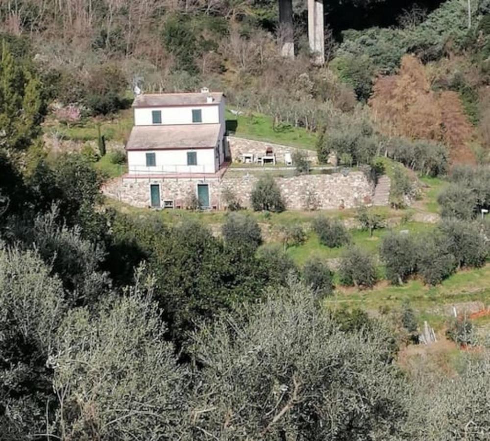 Villa Teca & Succo - Nature E Relax Sestri Levante Buitenkant foto