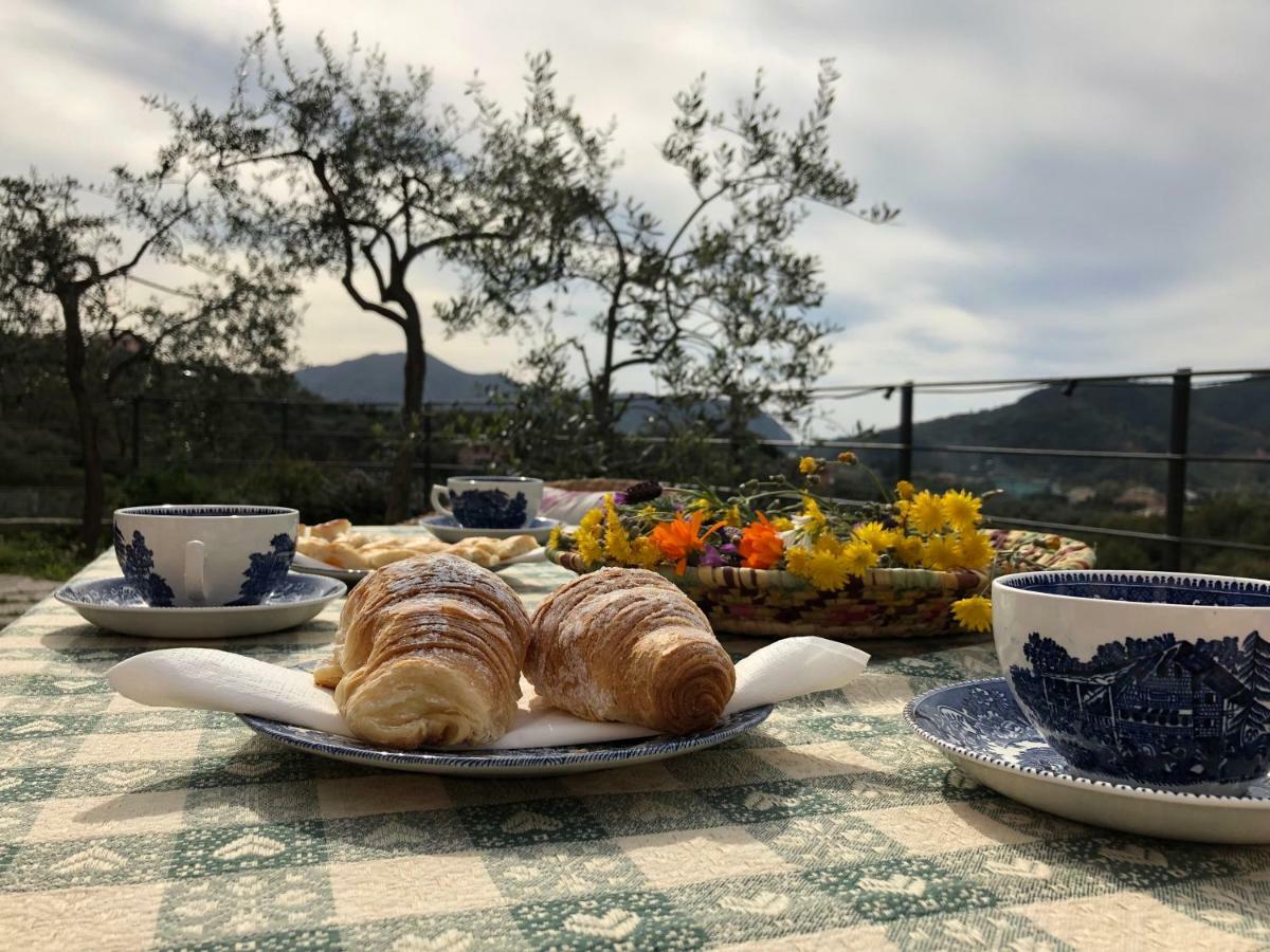 Villa Teca & Succo - Nature E Relax Sestri Levante Buitenkant foto